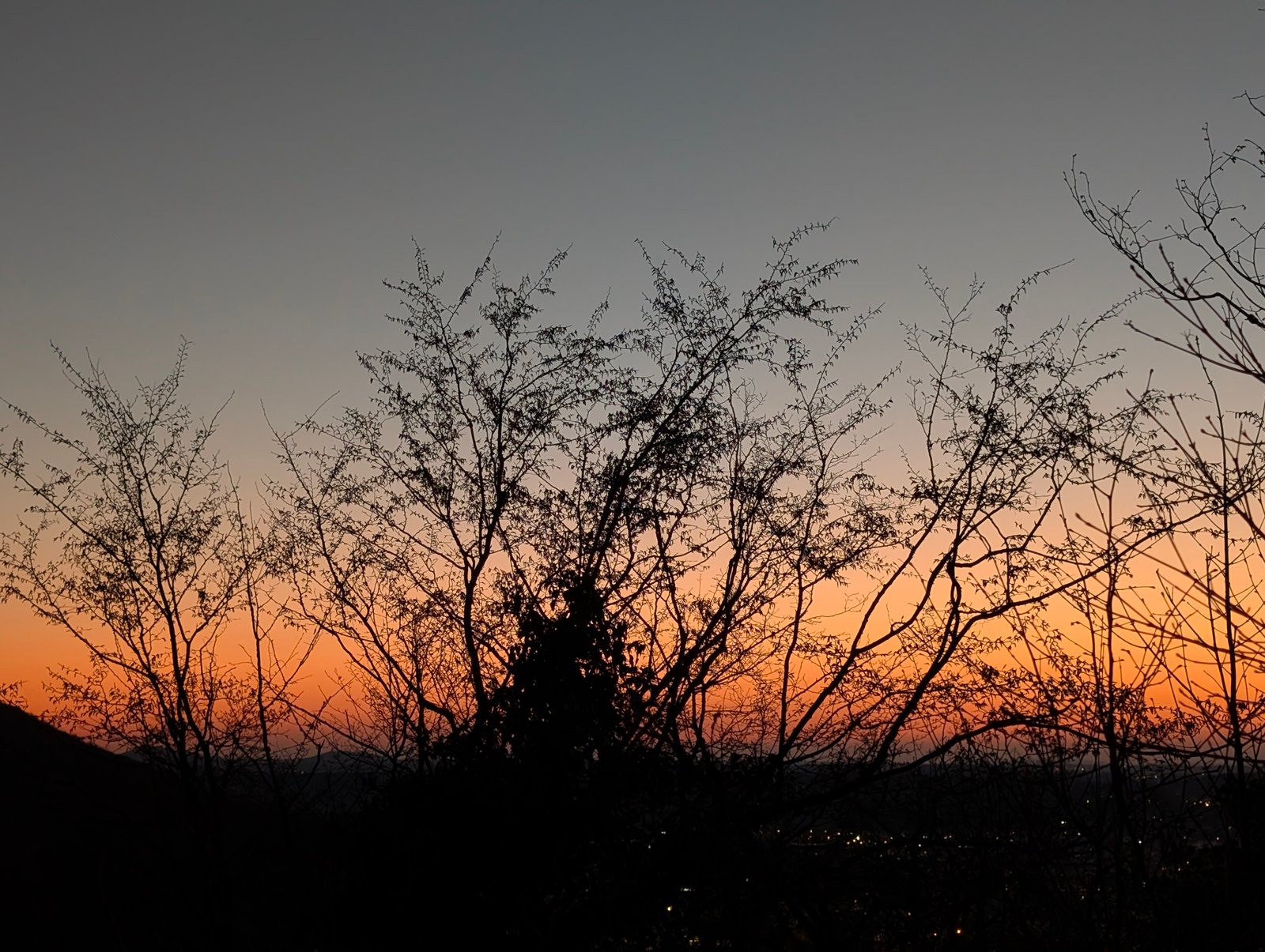Paysages 